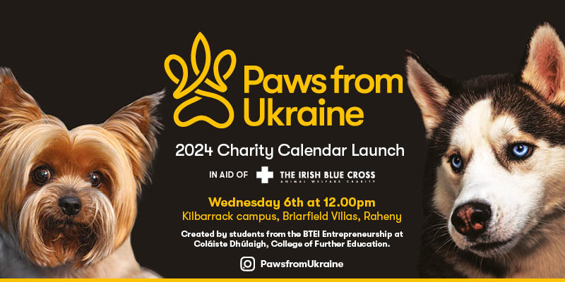 Paws from Ukraine charity calendar