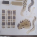 Experimenting with Oak Gall ink