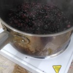 Making Berry Ink