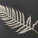 Andrew Morris Monoprint Fern Negative