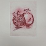 Emer Kirwan Dry Point 2