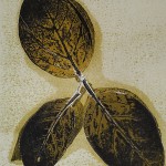Roisin Rowden Monoprint
