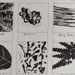 Karen O' Brien Drawing Study