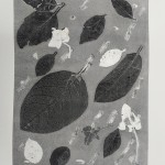 Photo 2 from Monotype workshop with David Begley Feb 25