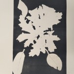 Photo 3 From Monotype workshop with David Begley Feb 25