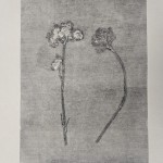 Photo 6 from Monotype work shop with David Begley Feb '25