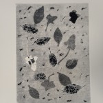 Photo 7 from Monotype workshop with David Begley Feb 25