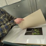 Photo of monotype workshop with David Begley 25
