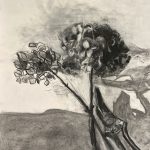 Still Life Charcoal Drawing